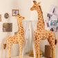 50cm Giraffe Plush Toys