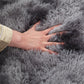 Anti-Slip Soft Pile Rug - Plush Area Rug for Living Room, Bedroom, and Hallway Decor