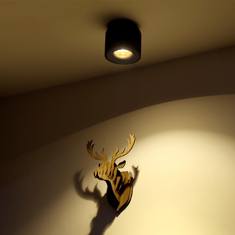 LED Downlight Ceiling Spotlights-the Housite UK