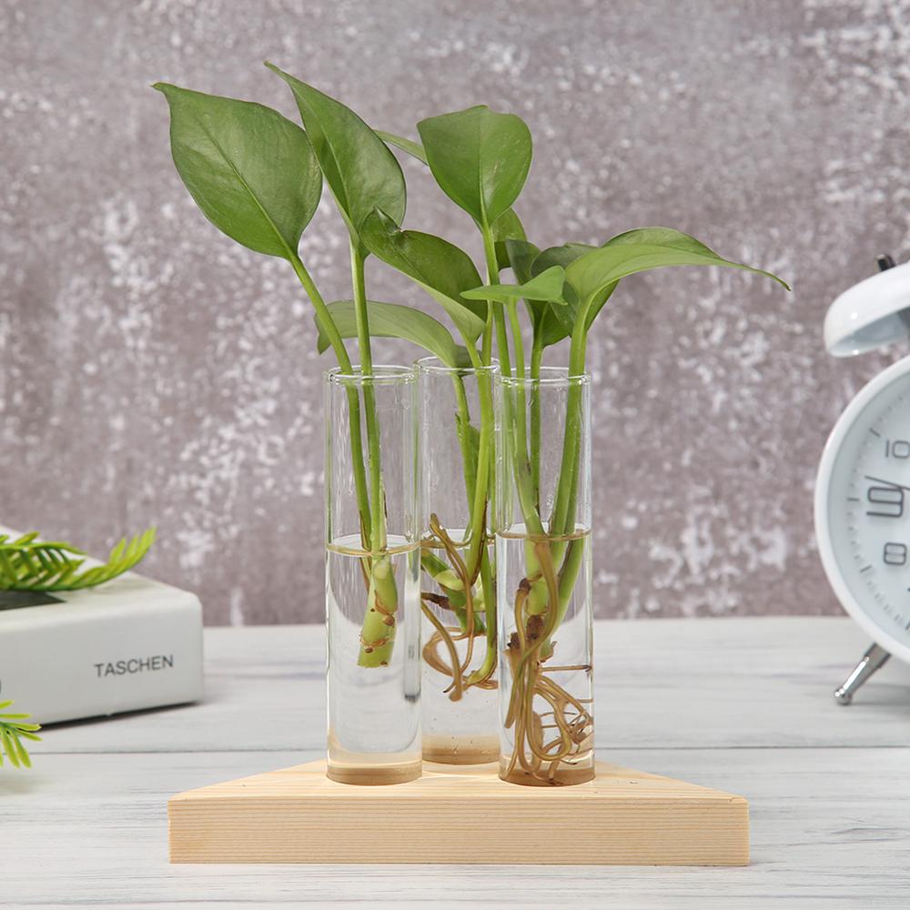 Vintage hydroponic Glass Vase-the Housite UK