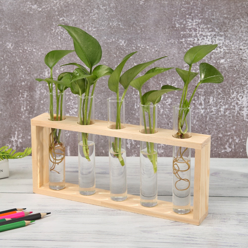 Vintage hydroponic Glass Vase-the Housite UK